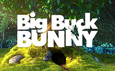 Игровой автомат Big Buck Bunny